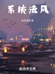系统流风