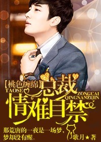 那夜的男人竟是新郎的哥哥：首席总裁，爱你入骨