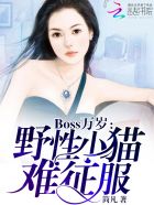 Boss万岁：野性小猫难征服