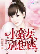 霸道竹马：小蛮妻，别想逃