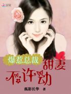 爆惹总裁：甜妻，不许动