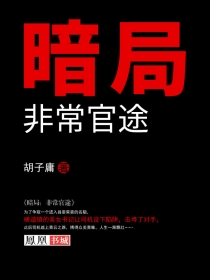 暗局：非常官途