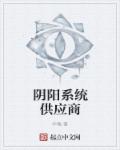阴阳系统供应商