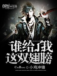 谁给了我这双翅膀
