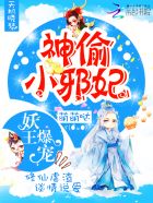 神偷小邪妃：高冷妖王带你飞
