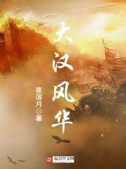 大汉风华