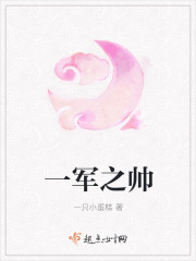 一军之帅