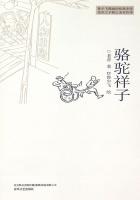 总裁蜜蜜宠陆景深景宁